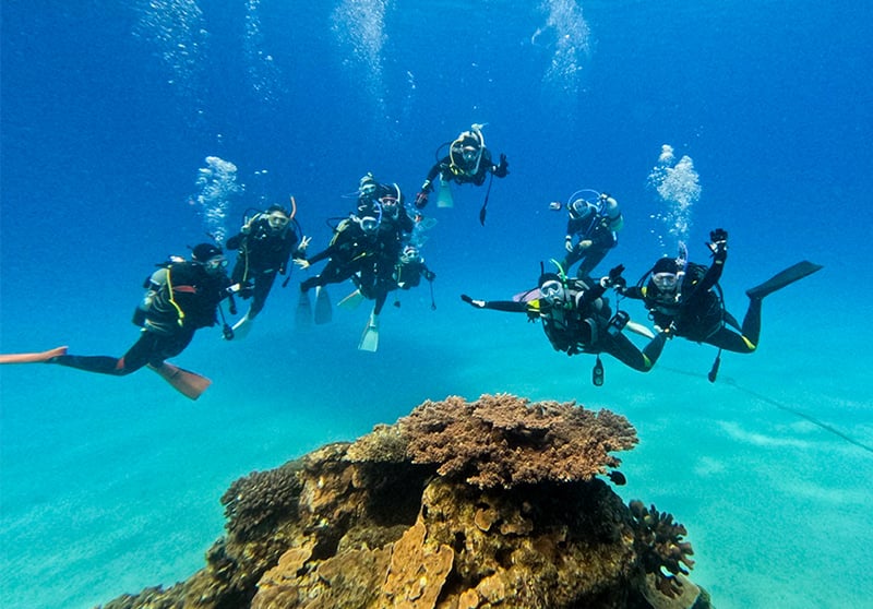 ダイビングサークル その1