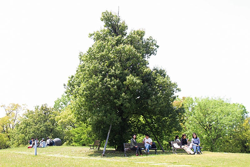 Image photo for June