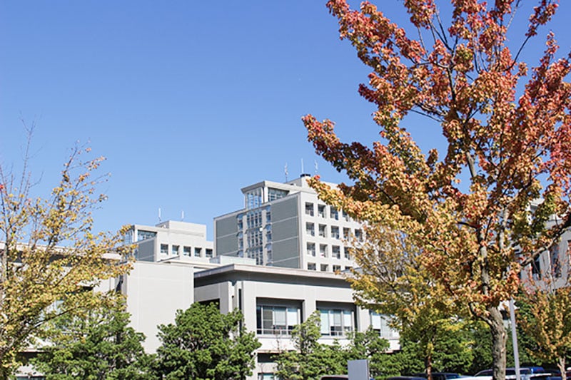Image photo for October