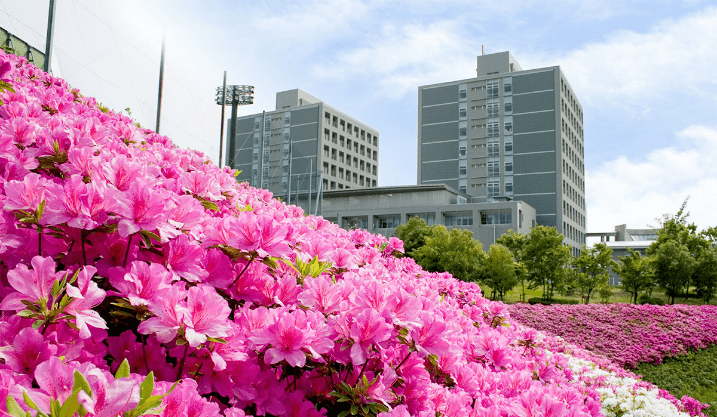 spring scenery