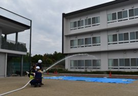 DSC_0237.JPG